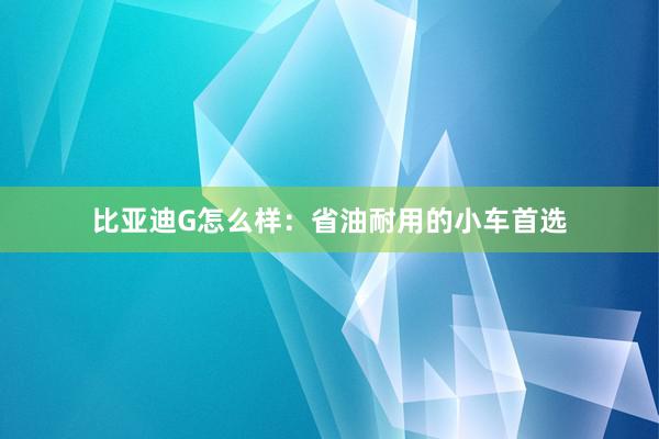比亚迪G怎么样：省油耐用的小车首选