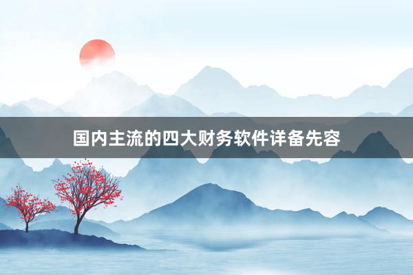 国内主流的四大财务软件详备先容