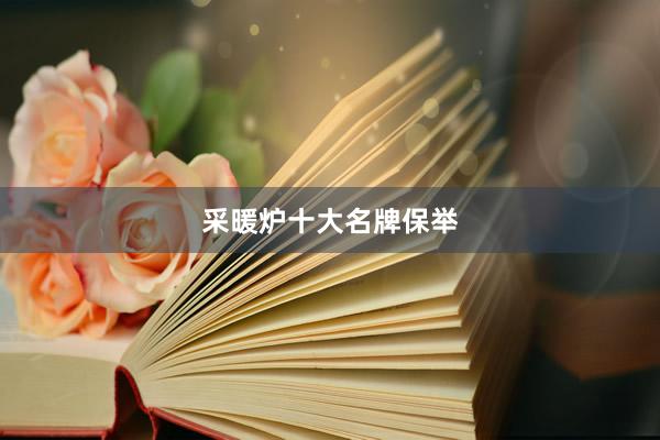 采暖炉十大名牌保举