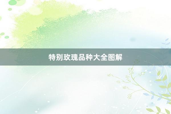 特别玫瑰品种大全图解