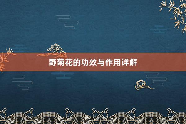 野菊花的功效与作用详解